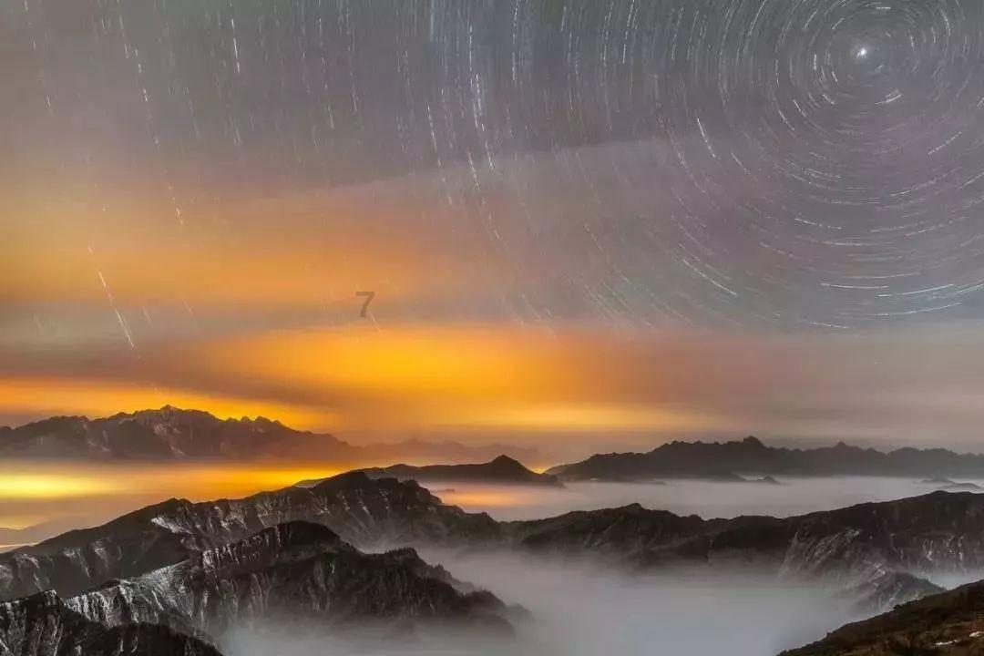 虫虫助手下载