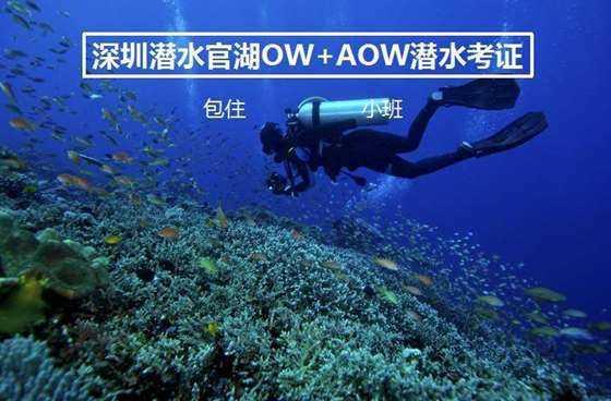 相亲风向变了，有车有房不再受欢迎，“三无男”成香饽饽，哪“三无”？