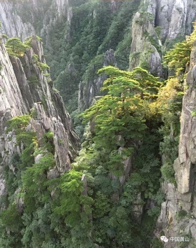“风花雪月”4首诗，共同的特点好有一比：骂人不带脏字