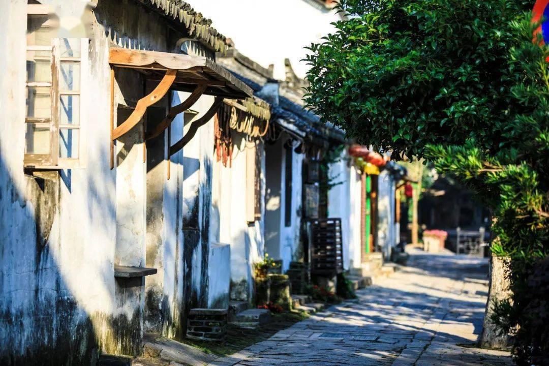 救援受困的鬃狼